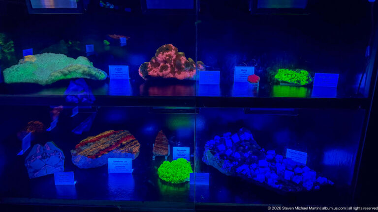 Close view of fluorescent mineral specimens glowing green, red, yellow, violet, and blue on dark display shelves.