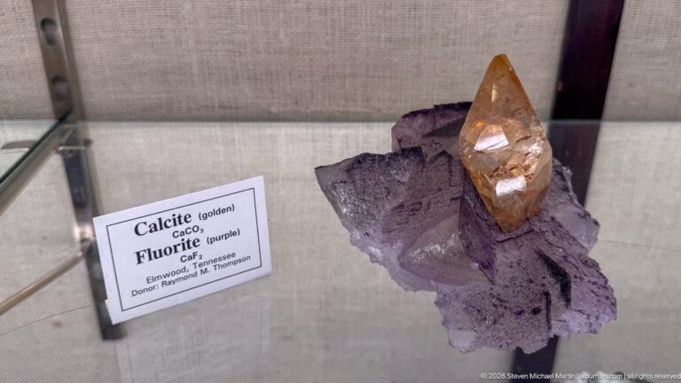 Golden pointed calcite crystal projecting from a purple fluorite matrix in a museum case.