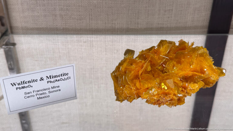 Golden-orange wulfenite crystal cluster displayed beside a label identifying wulfenite and mimetite from Sonora, Mexico.