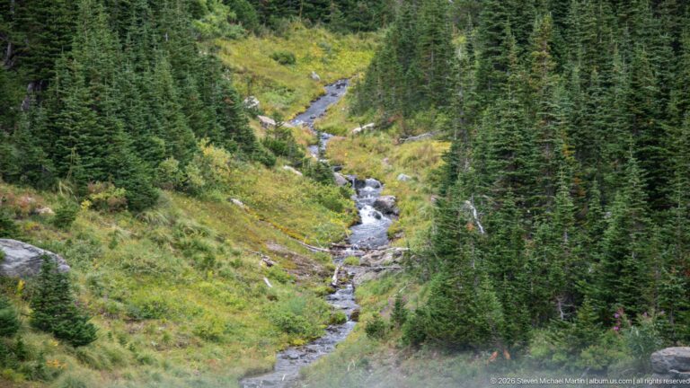 Narrow rocky creek winds downhill between dense conifers, shrubs, and green slopes.