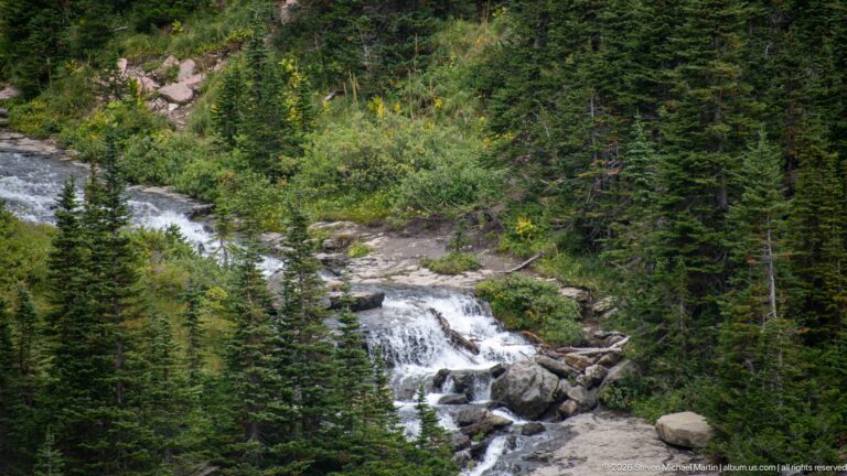 Rocky mountain stream forms a white cascade amid dense conifers and shrubs.