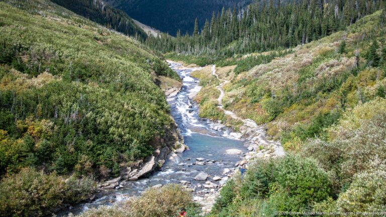 Blue-green mountain river winds through a rocky channel bordered by shrubs and conifer forest.