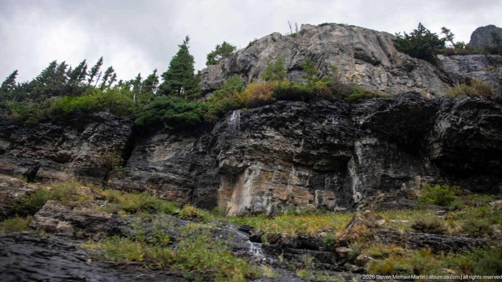 Dark layered roadside rock face with fractures, weathered ledges, low plants, and small conifers above.