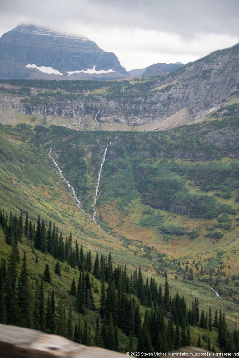 Two pale streams descending and branching across a broad green alpine basin above a band of dark conifers.