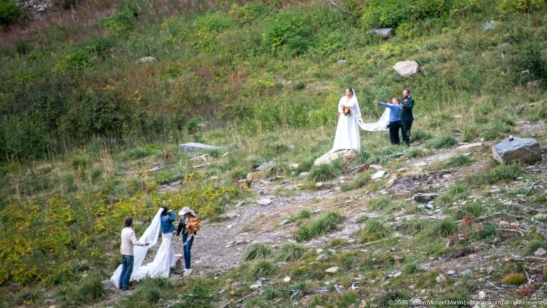 Bride posing uphill while three companions arrange or hold her long white train on a rocky vegetated slope.