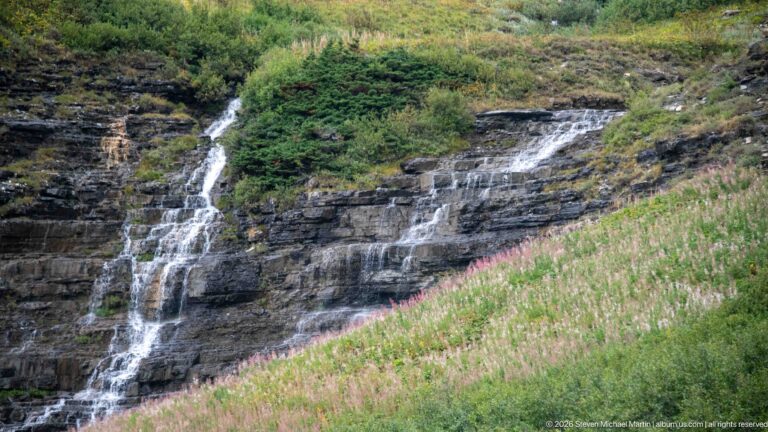 Two narrow waterfalls spilling over dark layered rock above a slope of tall pink wildflowers and green vegetation.