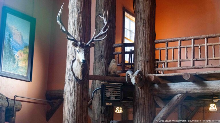 Antlered wildlife mount on a log post beside a curled-horn sheep mount and rustic gallery railing.
