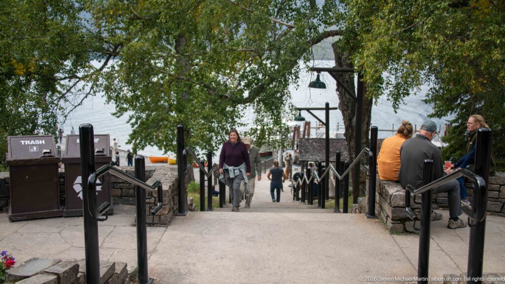 Tree-lined pedestrian path descending from Lake McDonald Lodge grounds toward the lake, with visitors, benches, and railings.