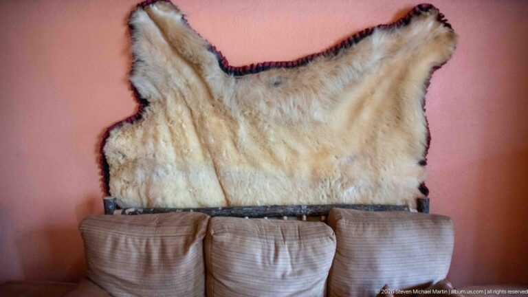 Large pale animal hide mounted on an orange wall above upholstered seating inside Lake McDonald Lodge.