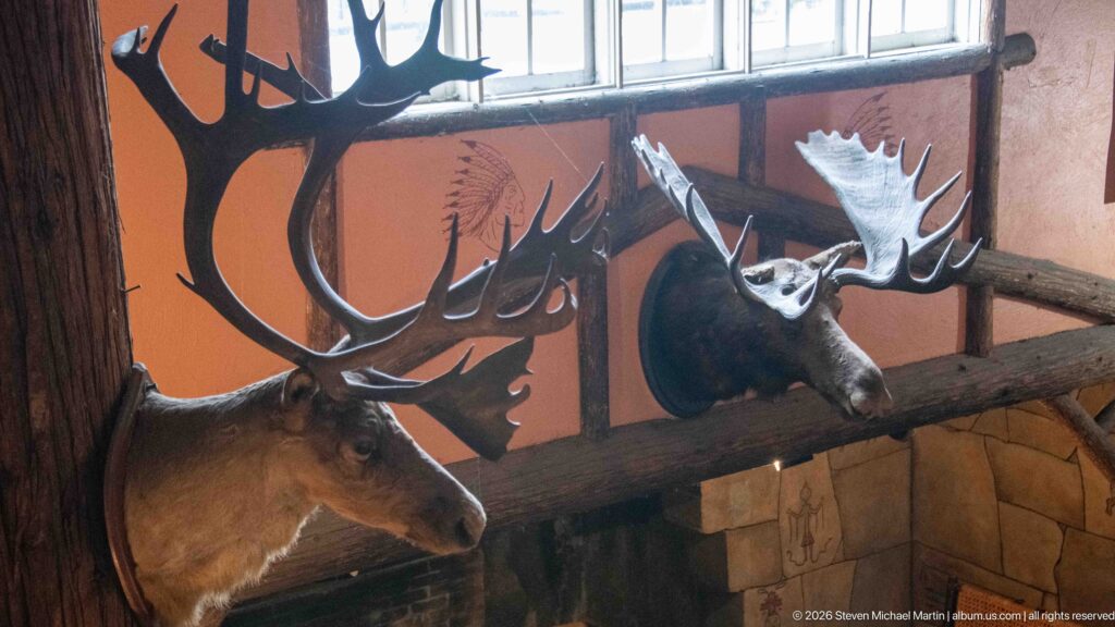 Mounted elk and moose heads with large antlers displayed high beneath windows inside Lake McDonald Lodge.