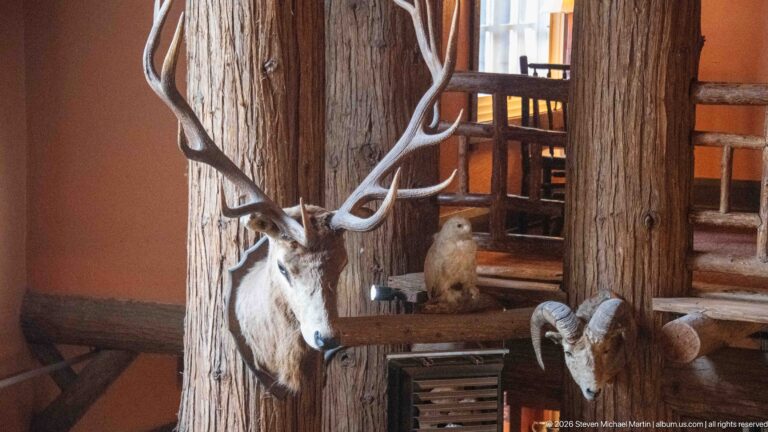 Antlered animal mount, small owl specimen, and bighorn sheep ram arranged between large log posts inside the lodge.