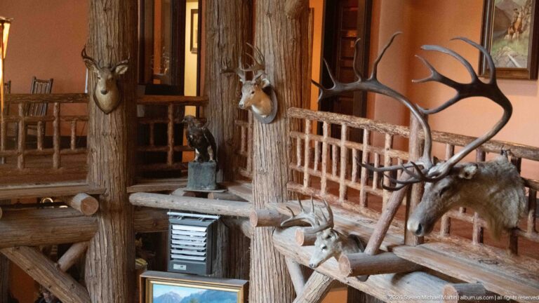 Several mounted wildlife heads with antlers and horns displayed among log posts and rustic balcony railings inside Lake McDonald Lodge.