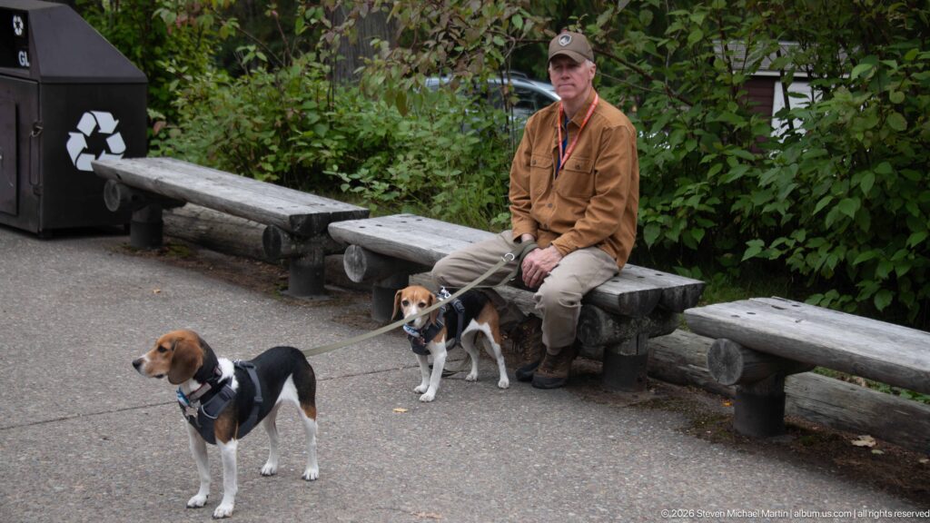Seated visitor with two leashed beagles beside rustic log benches and dense greenery at Lake McDonald Lodge.