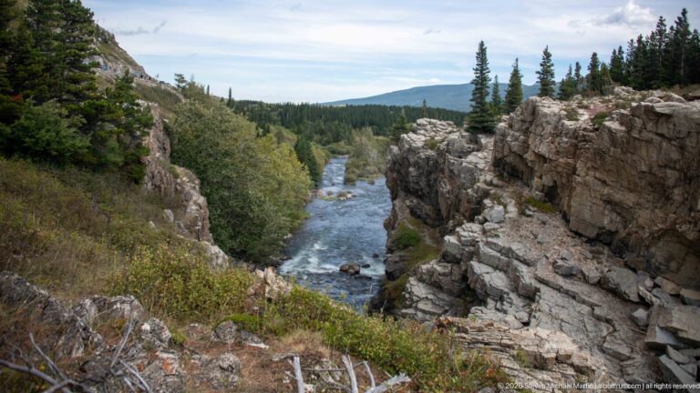 Mountain stream flowing through a narrow rocky gorge bordered by conifers and shrubs.