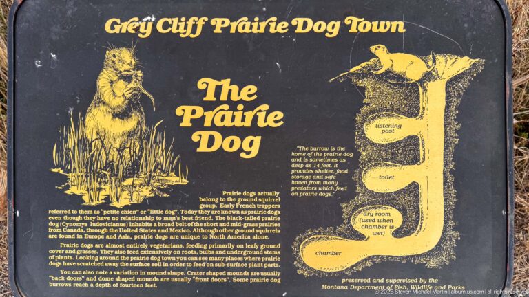 Interpretive panel titled The Prairie Dog with animal illustration and labeled cutaway diagram of an underground burrow.