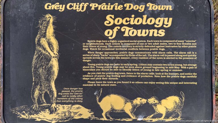 Dark interpretive panel titled Sociology of Towns with yellow prairie dog illustrations and explanatory text.