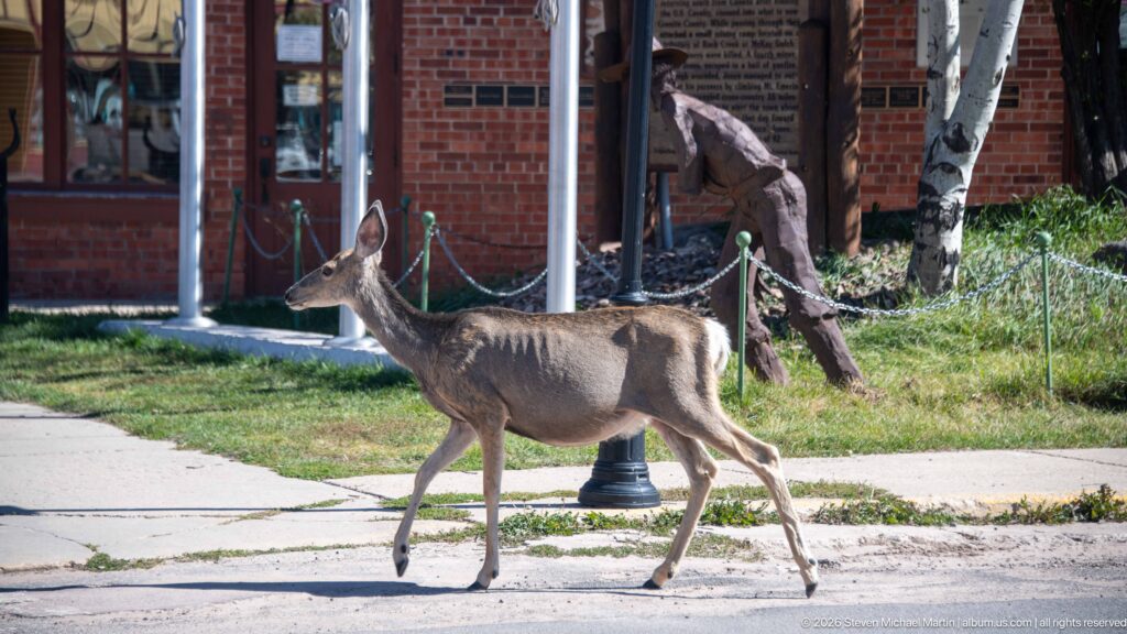 Side view of a mule deer walking past a lamppost and grassy verge with metal figures and a brick building behind.