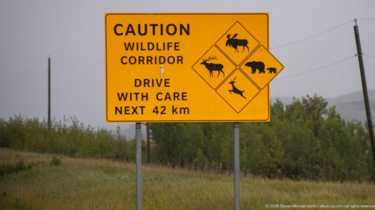 Yellow road sign reading Caution Wildlife Corridor, Drive With Care Next 42 km, with moose, elk, bear, and deer symbols.