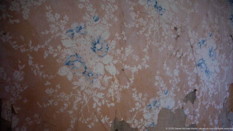 Faded blue floral wallpaper pattern on a worn pinkish interior wall with extensive peeling and missing surface.