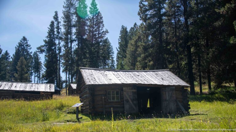 Small weathered log cabin with metal roof and multi-pane window in a grassy clearing surrounded by tall conifers.
