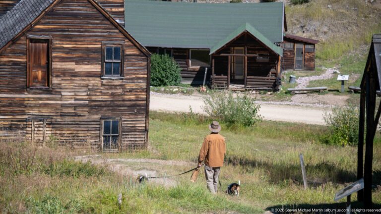 Visitor with two dogs walking toward weathered wooden buildings and a green-roofed porch across a dirt road.