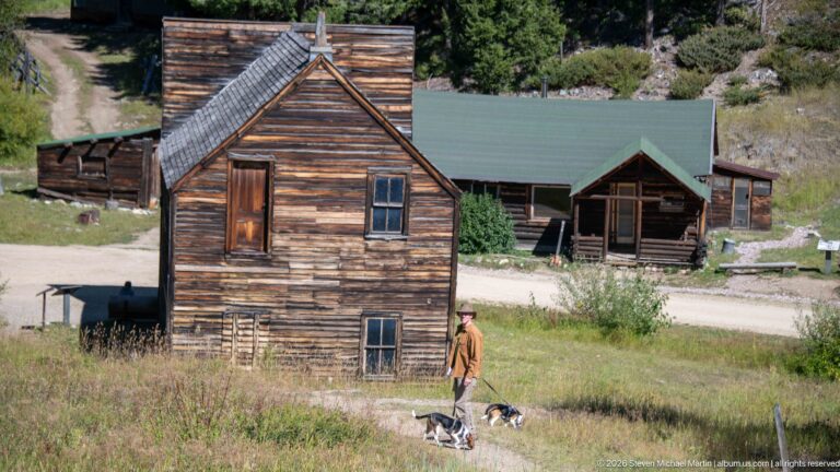 Visitor walking two dogs through grass beside weathered two-story and low wooden buildings at Garnet Ghost Town.