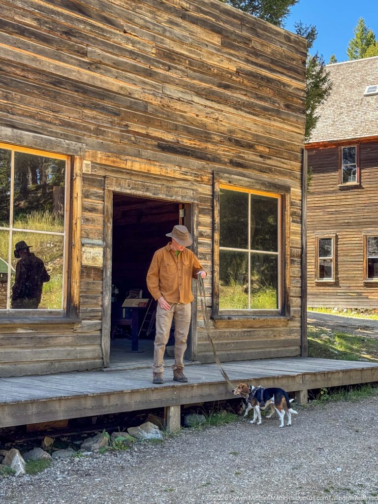 Visitor walking two beagles past a weathered wooden storefront with large windows, with another historic building visible beyond.