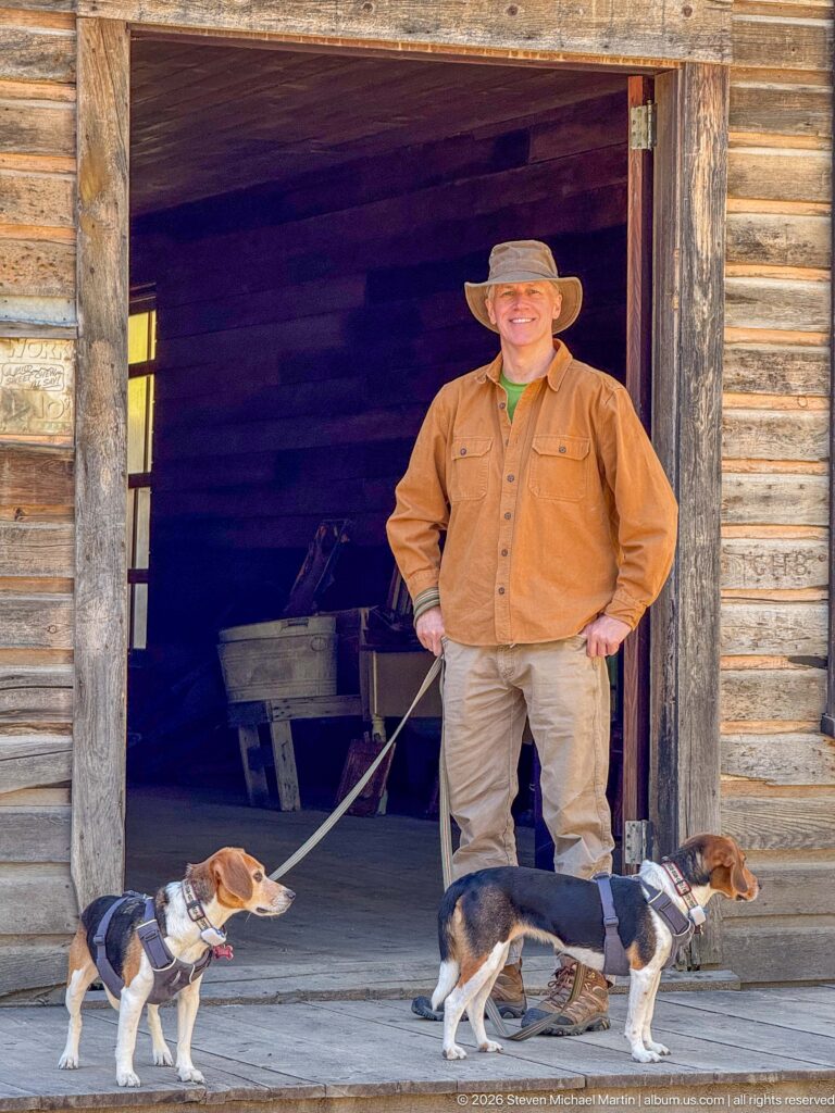 Visitor in a brimmed hat standing in a wide log-building doorway while two beagles walk across the wooden porch.