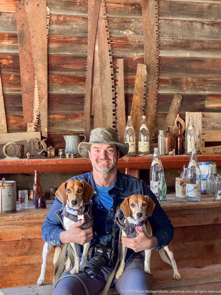 Visitor holding two beagles before shelves of historic bottles, tins, and large saw blades inside a log building.