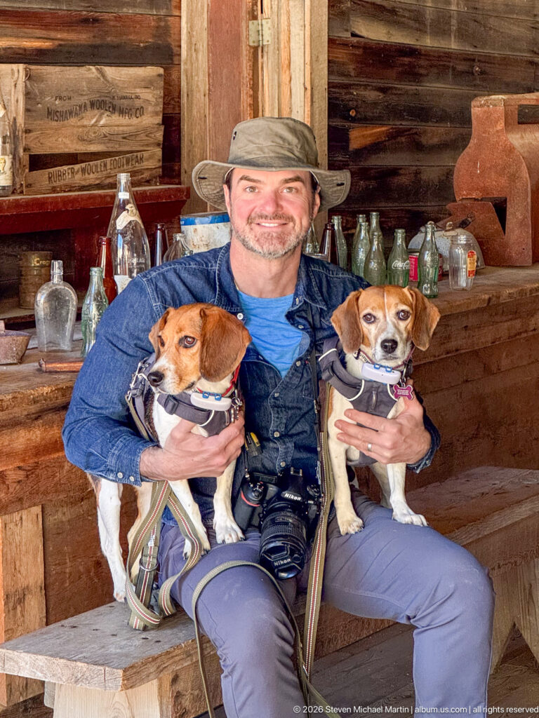 Close portrait of a visitor in a brimmed hat holding two beagles, with historic bottles and wooden bar behind.