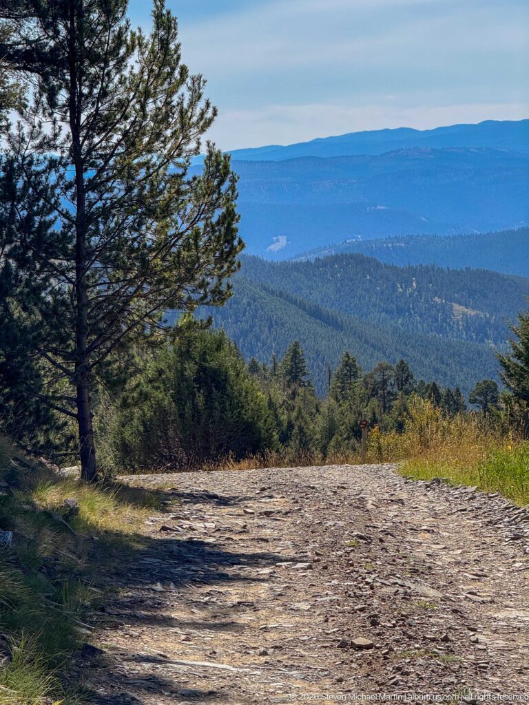 Large pine beside a rocky mountain road overlooking layered forested ridges and a distant blue horizon.