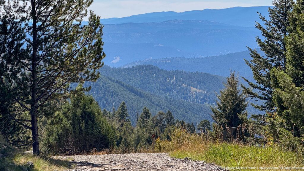 Forested mountain valley and distant blue ridge framed by pine trees from a high roadside viewpoint.