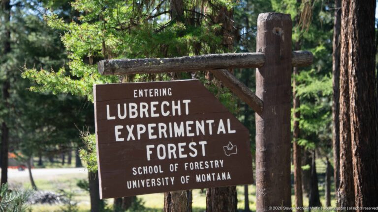 Brown sign reading Entering Lubrecht Experimental Forest, School of Forestry, University of Montana, hanging from a rustic log frame.