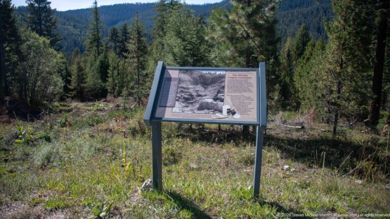 Freestanding interpretive panel in a grassy conifer-forest clearing with wooded mountain slopes rising in the background.