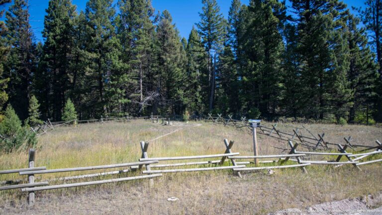 Zigzag split-rail fence crossing a grassy meadow bordered by tall conifers, with a small interpretive marker beyond.