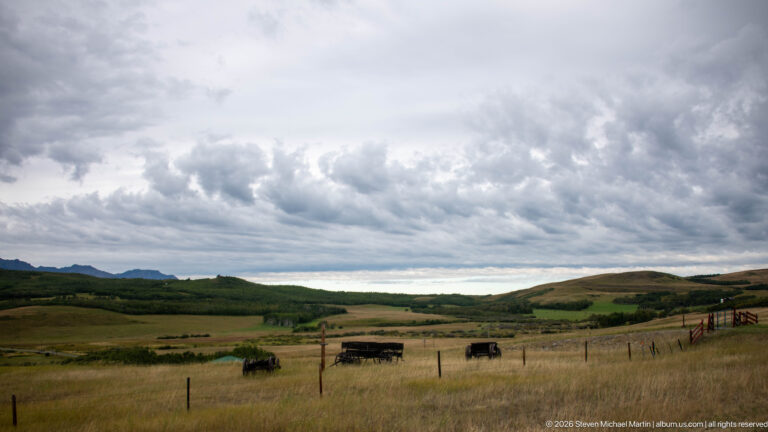 Dark cattle grazing in golden fenced pasture beneath dramatic gray clouds, with low wooded hills and brighter sky on the horizon.