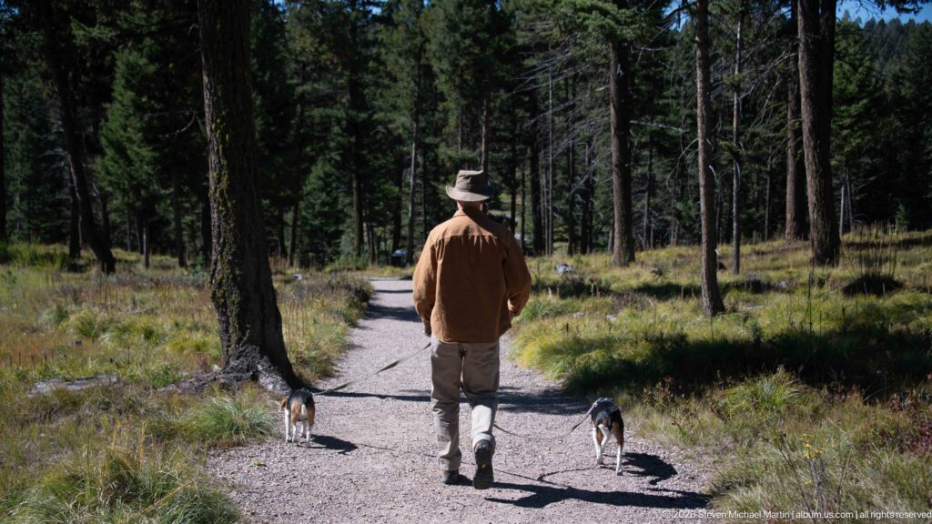 Visitor walking two beagles farther down a curving gravel trail through shaded conifer forest and grassy understory.