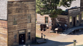 Tall weathered false-front building with a visitor in its doorway beside a lower storefront shaded by a large conifer.